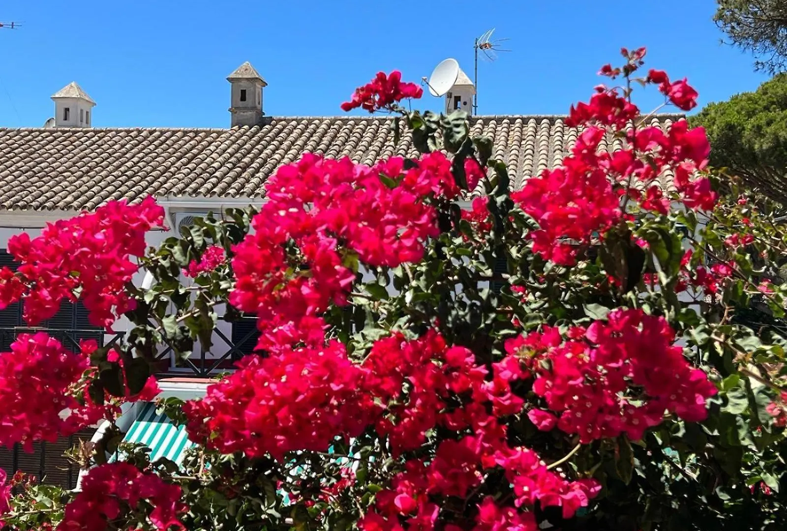 Villa La Buganvilla Chiclana de la Frontera Holiday home